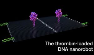 Nanoroboter können Krebszellen gezielt bekämpfen. (c) Jason Drees, asu.edu