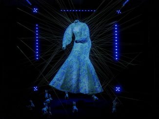 Jedes Jahr ruft das Ars Electronica Festival hunderte Kreative aus Kunst, Wissenschaft, Technologie und Wirtschaft aus der ganzen Welt nach Linz. Hier: Modified Paradise: Dress. (c) AnotherFarm