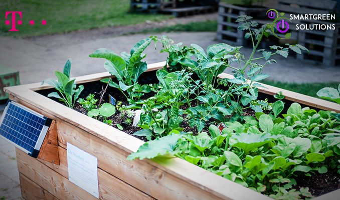 Sensoren im Greenbeet messen unter anderem die Feuchtigkeit des Substrats. Ist sie zu niedrig, versorgt eine Pumpe das Hochbeet mit Wasser. (c) Smartgreen Solutions