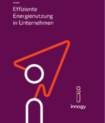 (c) Innogy