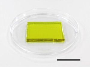 Kühlendes Hydrogel (c) Nano Letters 2020, DOI: 10.1021/acs.nanolett.0c00800