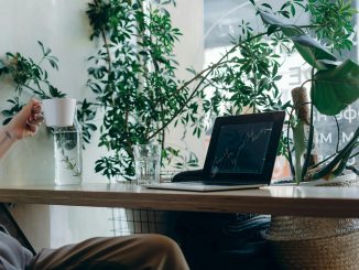 Verantwortungsbewusster KI-Einsatz und ambitionierte Dekarbonisierung führen laut PwC zu überdurchschnittlichem Wachstum. (c) Pexels